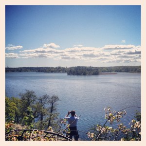 Utsikt från Grimsta skogen