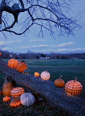 Pumpkins by night