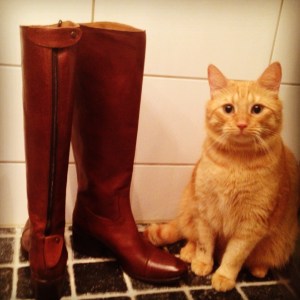 Alberville stövlarna o Firre