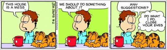 Garfield - a mess
