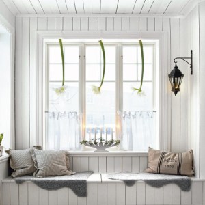 Annorlunda Amaryllis dekoration