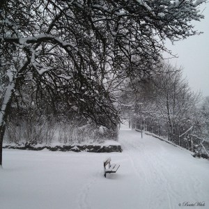 Vinter på Blåkulla