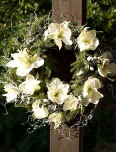 Krans av vita Amaryllis