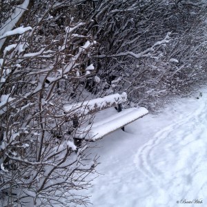 Vinter på Blåkulla