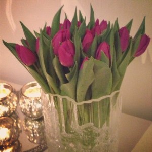 Tulpaner = vårkänsla