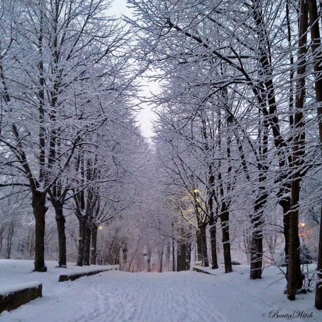 Vinterdag på Blåkulla