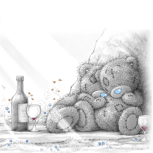 Tatty Teddy cozy pique nique