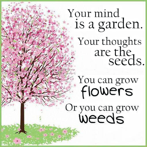 Your mind is a garden