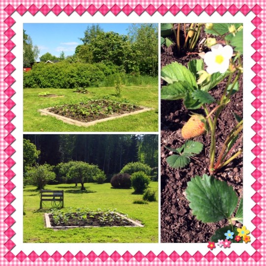 Jordgubbstigens jordgubbsland