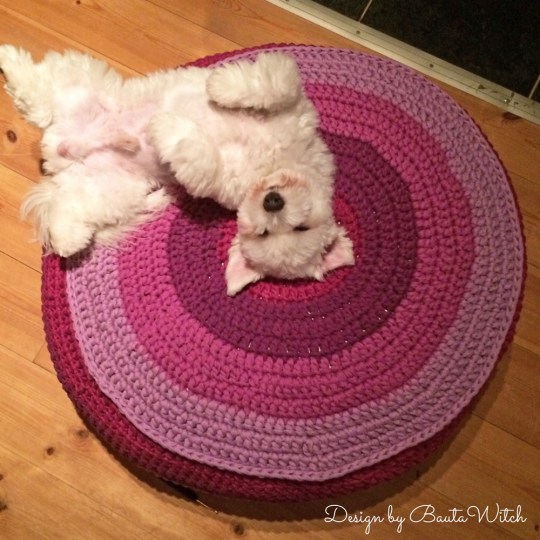 Coton-de-Tulaar-on-pouf-by-BautaWitch