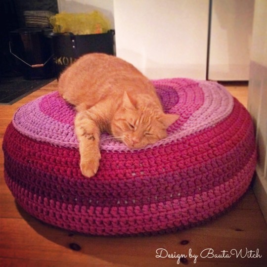 Red-cat-on-Zpagetti-pouf-by-BautaWitch
