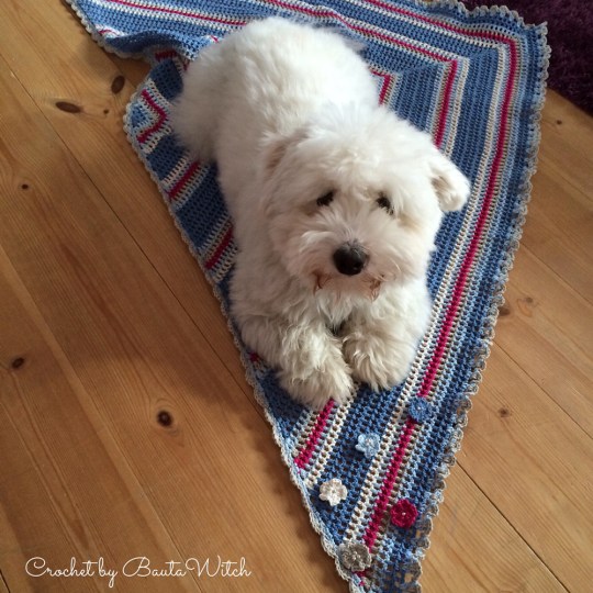 Woofie-on-my-road-trip-scarf-by-BautaWitch