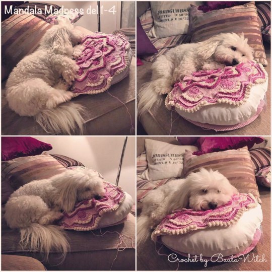 woofie-o-mandala-madness-kudde-by-bautawitch